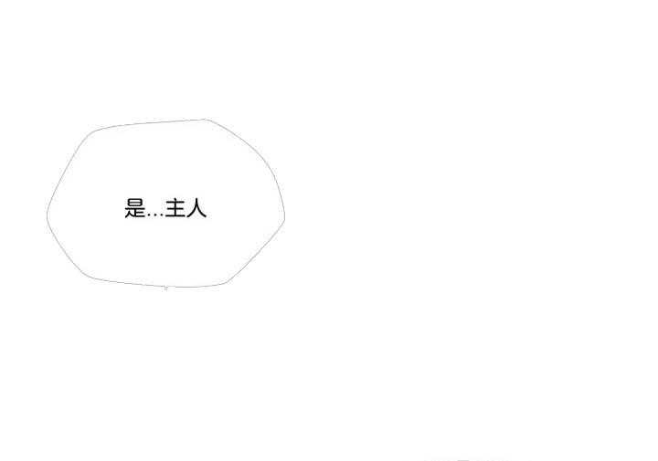 第89话_五阶段（番外）34