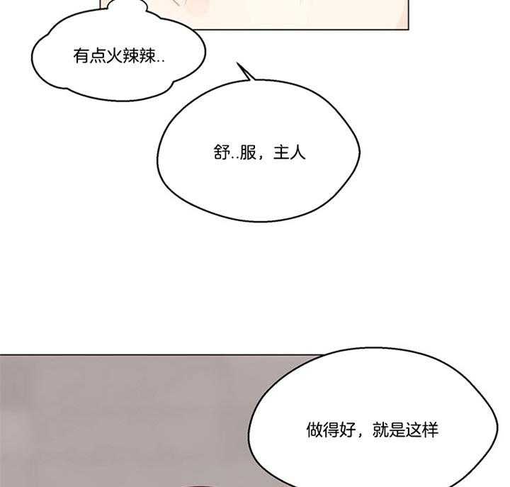 第89话_五阶段（番外）36