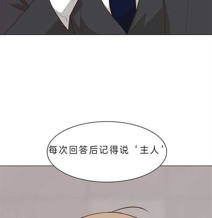第88话_什么都愿意（番外）42