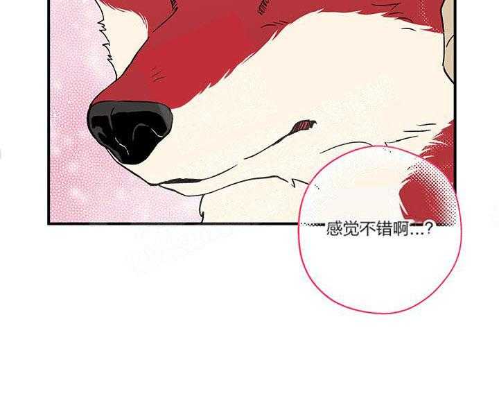 第3话_这狗真帅15