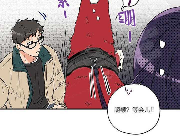 第3话_这狗真帅20