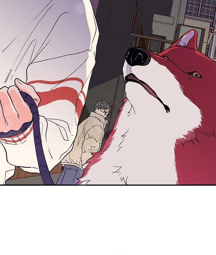 第3话_这狗真帅25