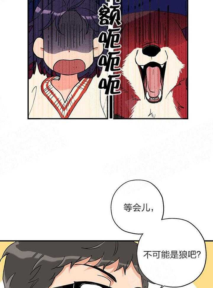 第3话_这狗真帅5