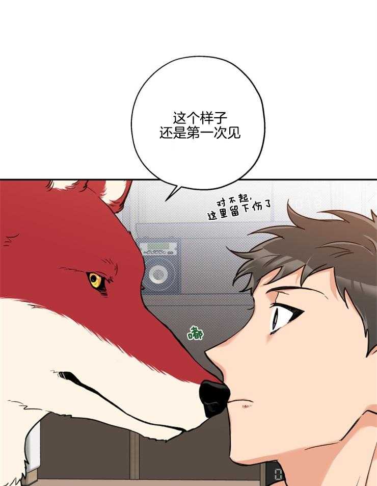 第22话_又变狼了10
