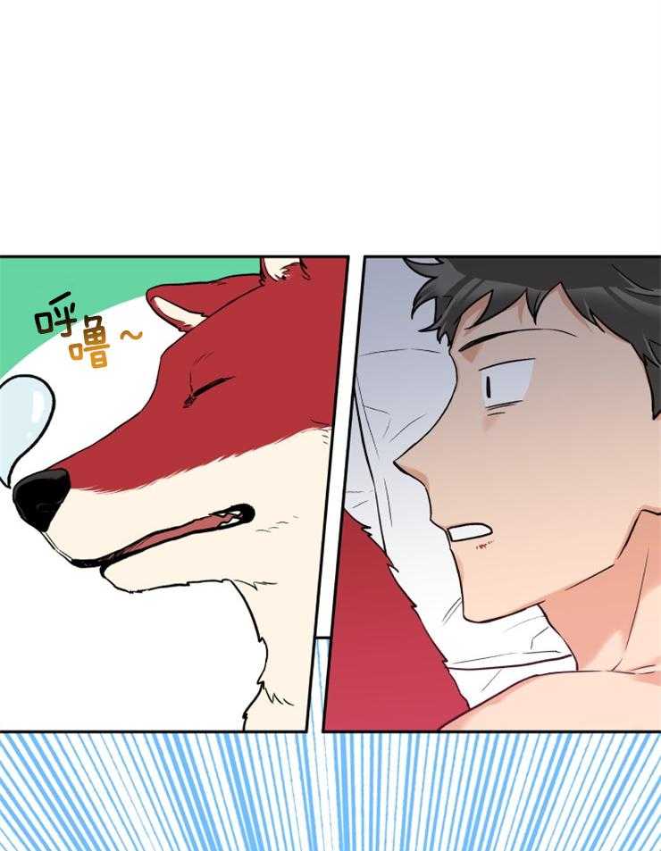 第22话_又变狼了5