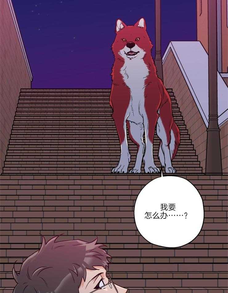 第34话_维持现状18