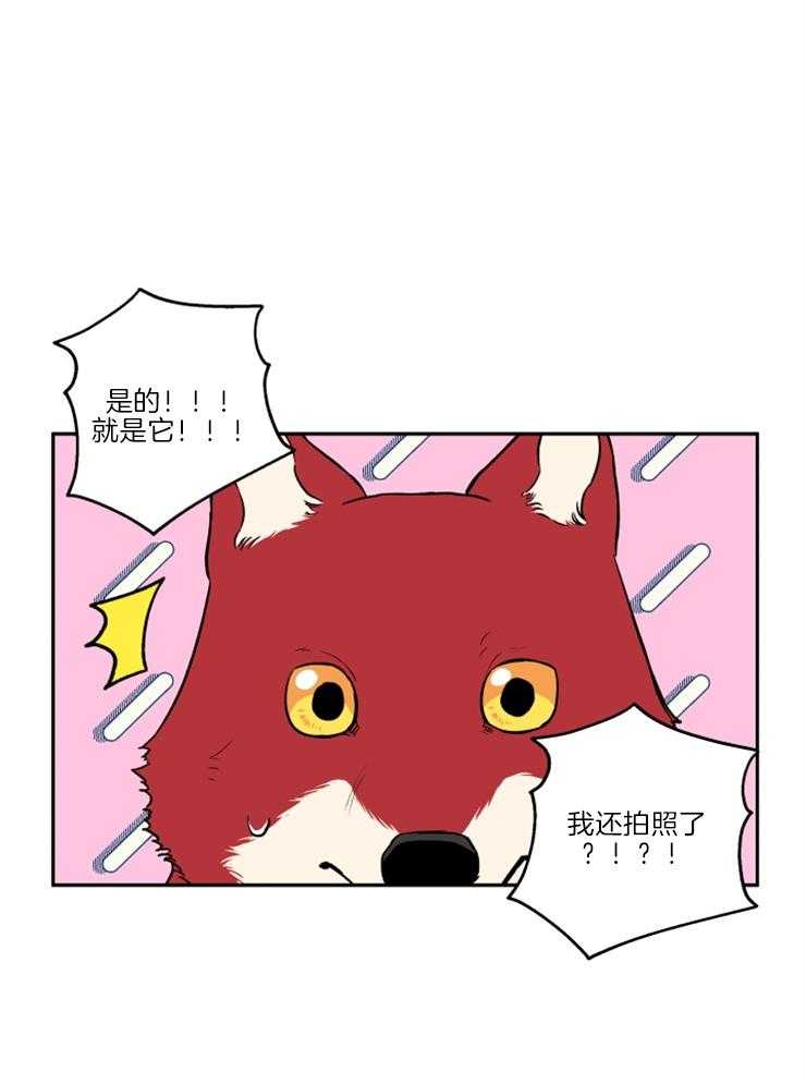 第35话_被拍照了16