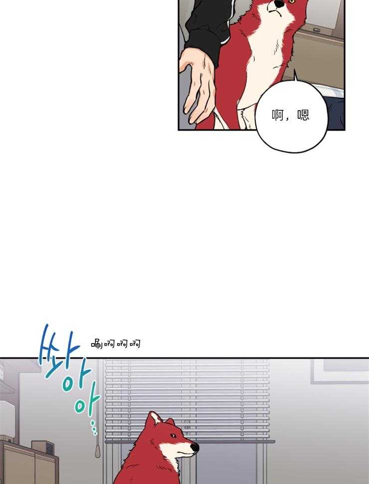 第36话_撒泼打滚17