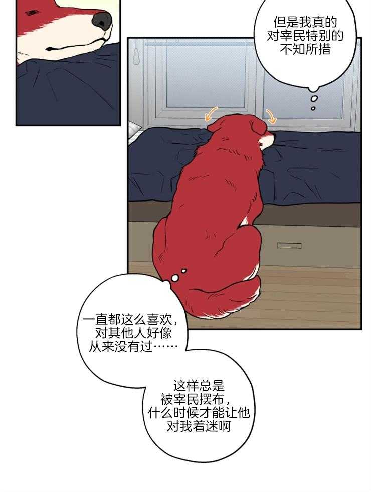 第36话_撒泼打滚19