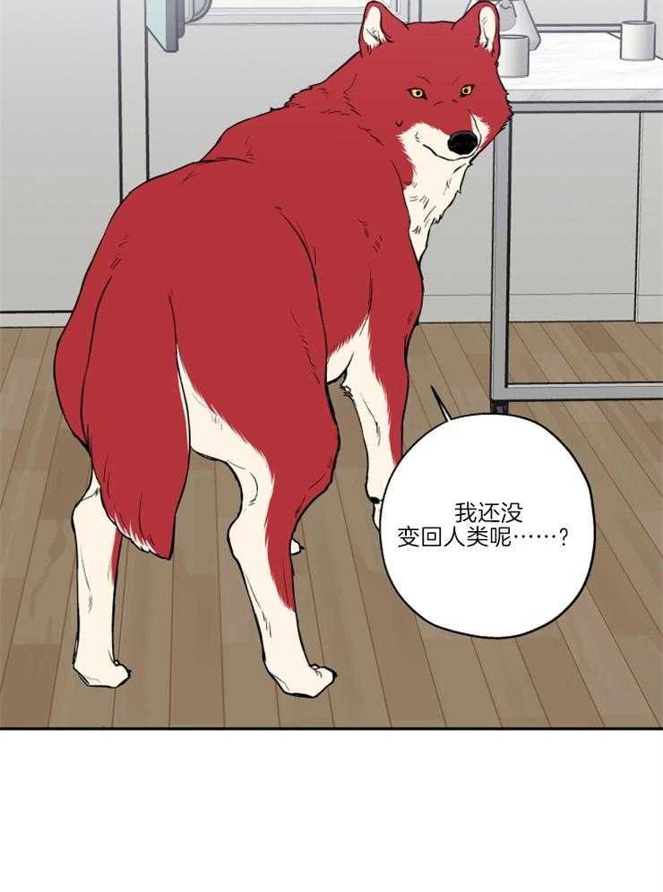 第38话_送上门17