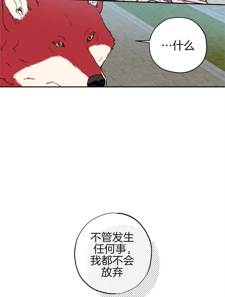 第61话_不会放弃14