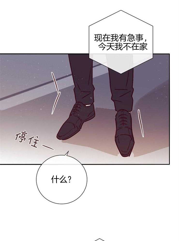 第51话_突然的行程3
