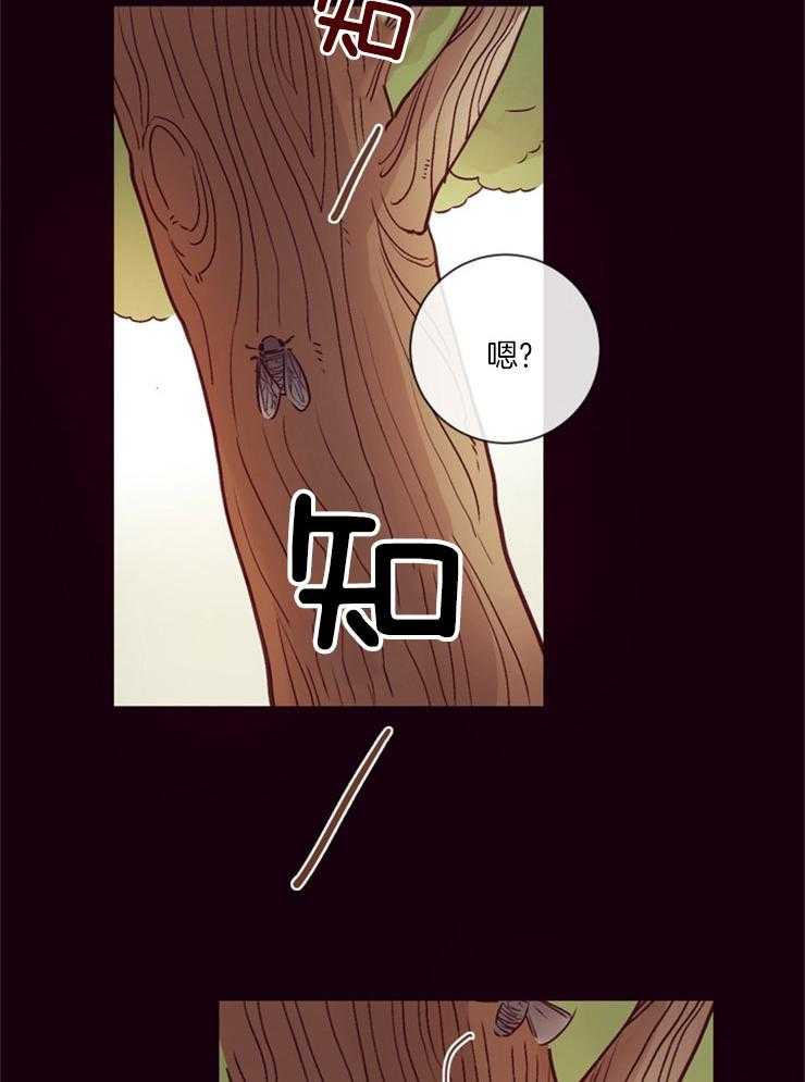 第24话_纯真的代价1