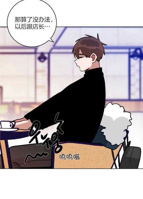 第159话_圣诞星星1