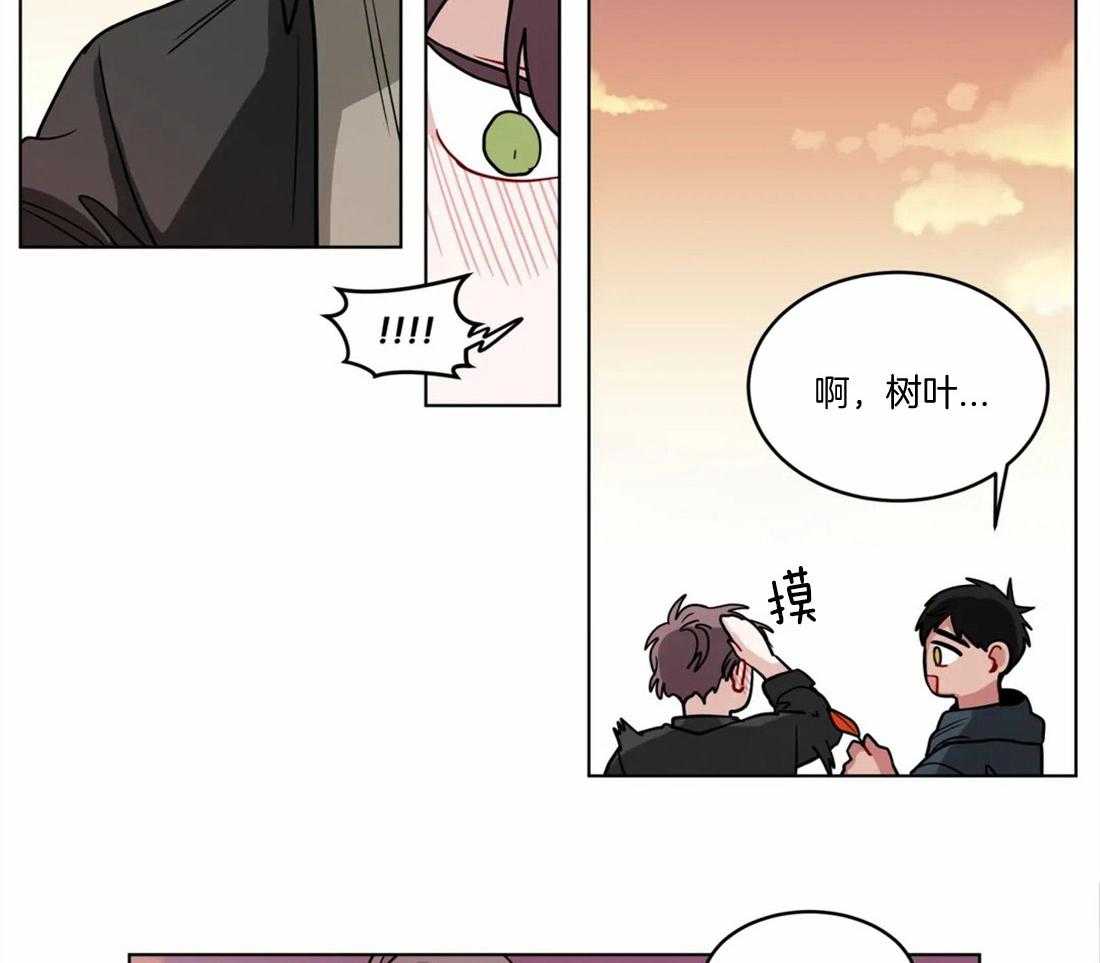第96话_是真话吗22