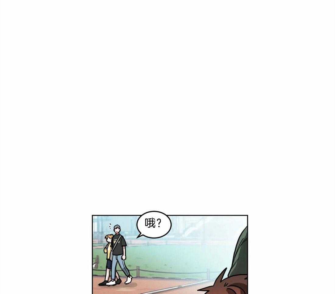 第81话_是故意的吧19