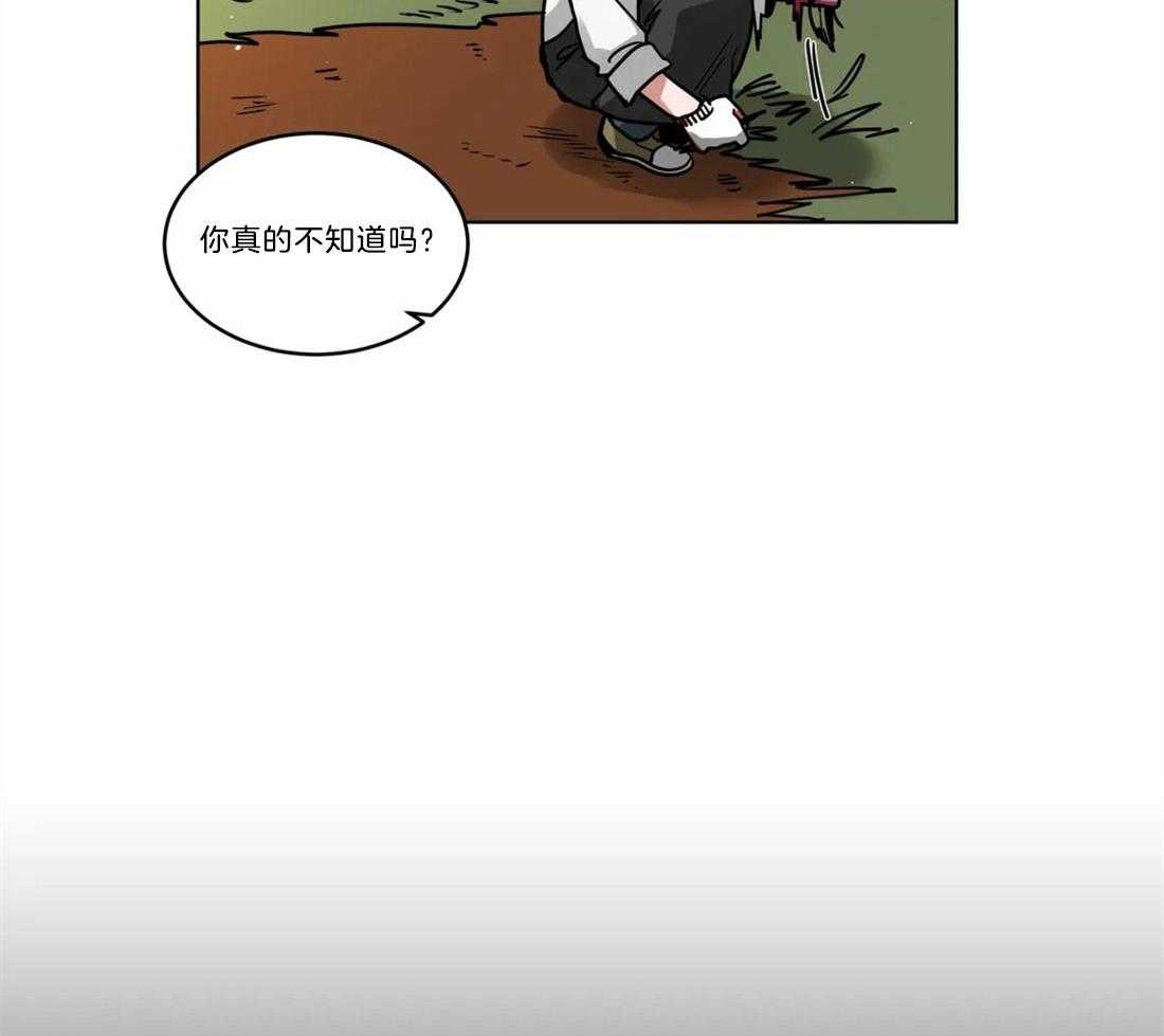 第65话_别扭的示好14