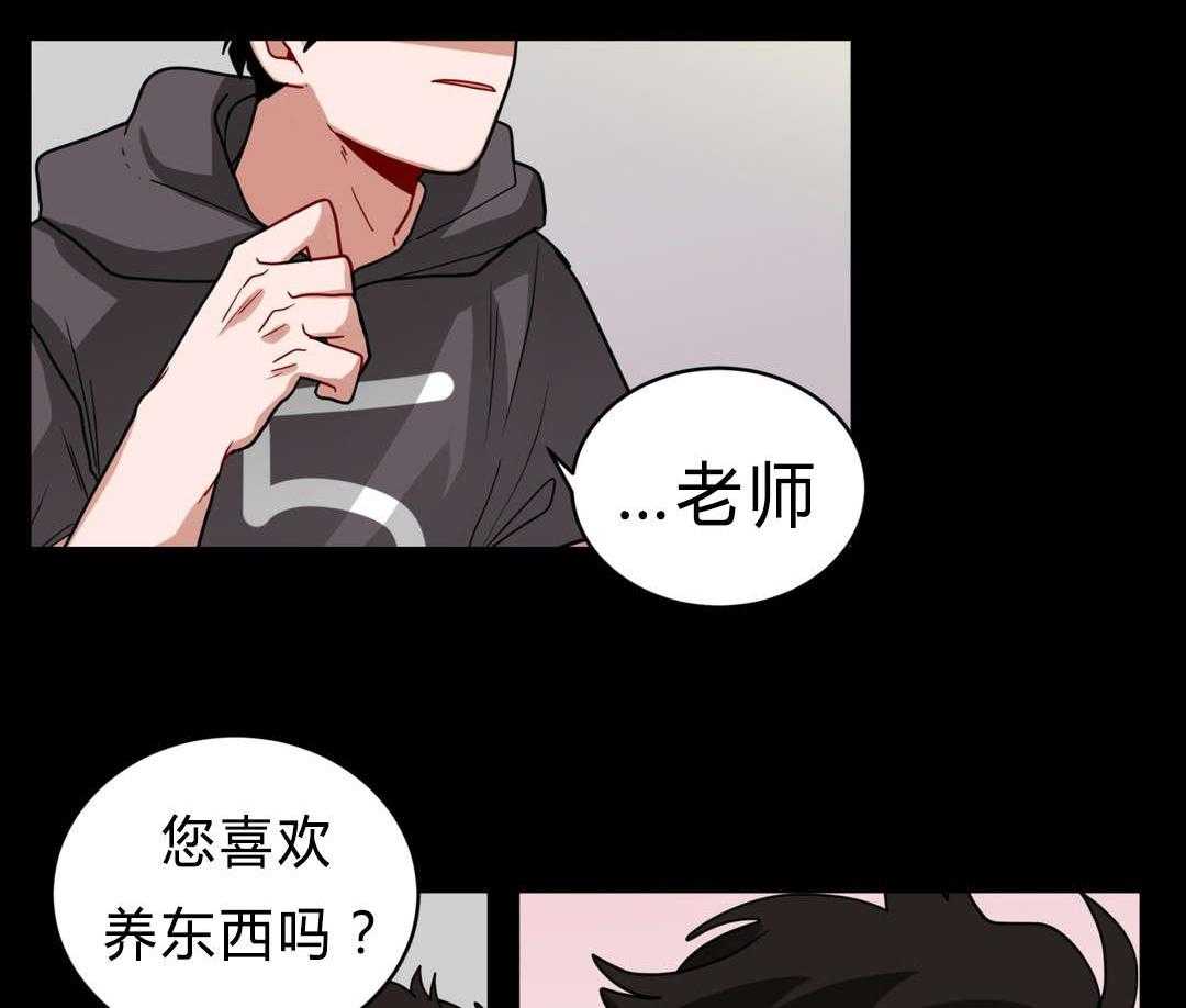 第40话_喜欢老师29