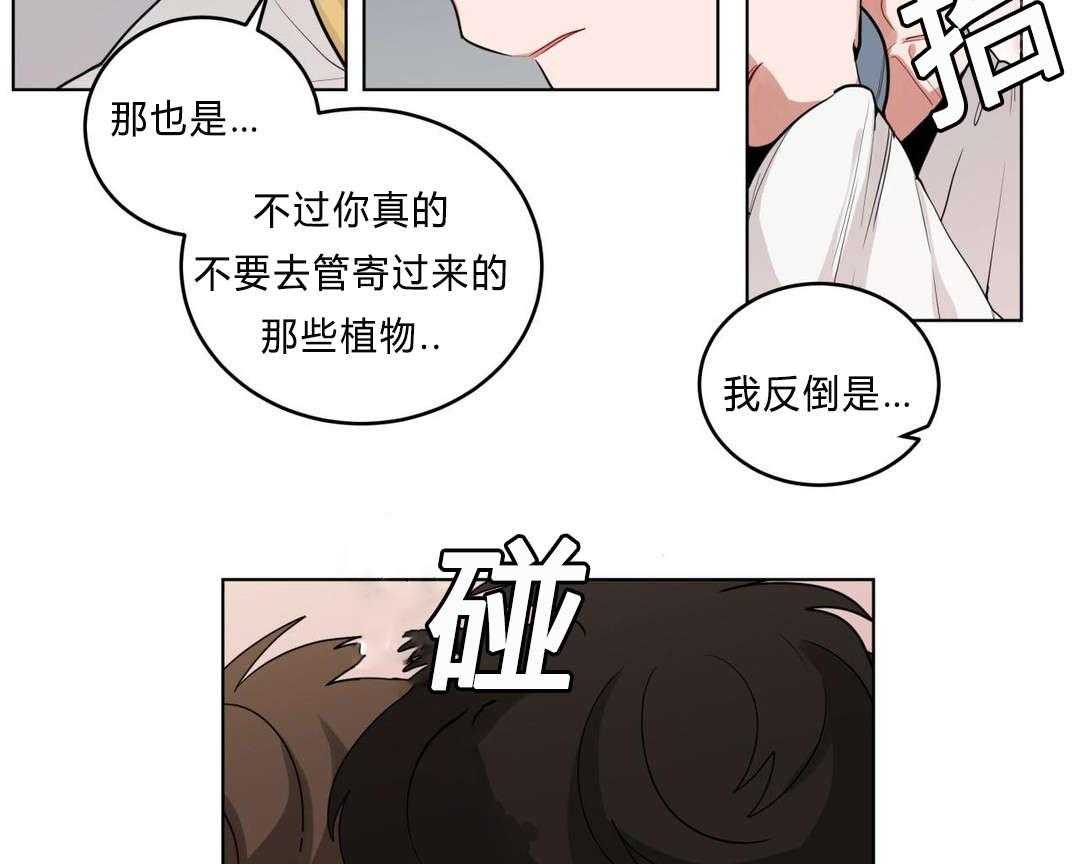 第29话_盆栽23