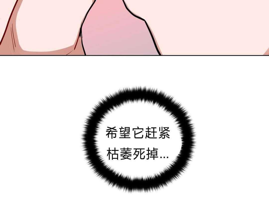 第29话_盆栽25