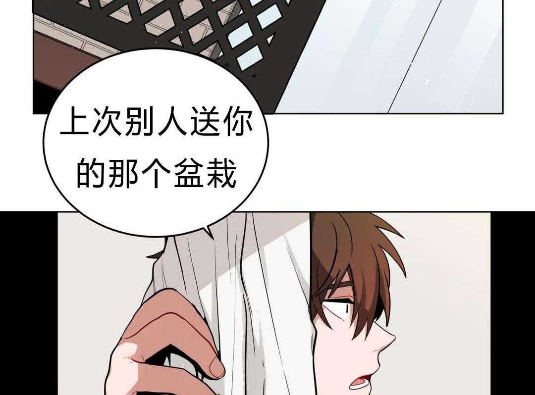 第29话_盆栽4