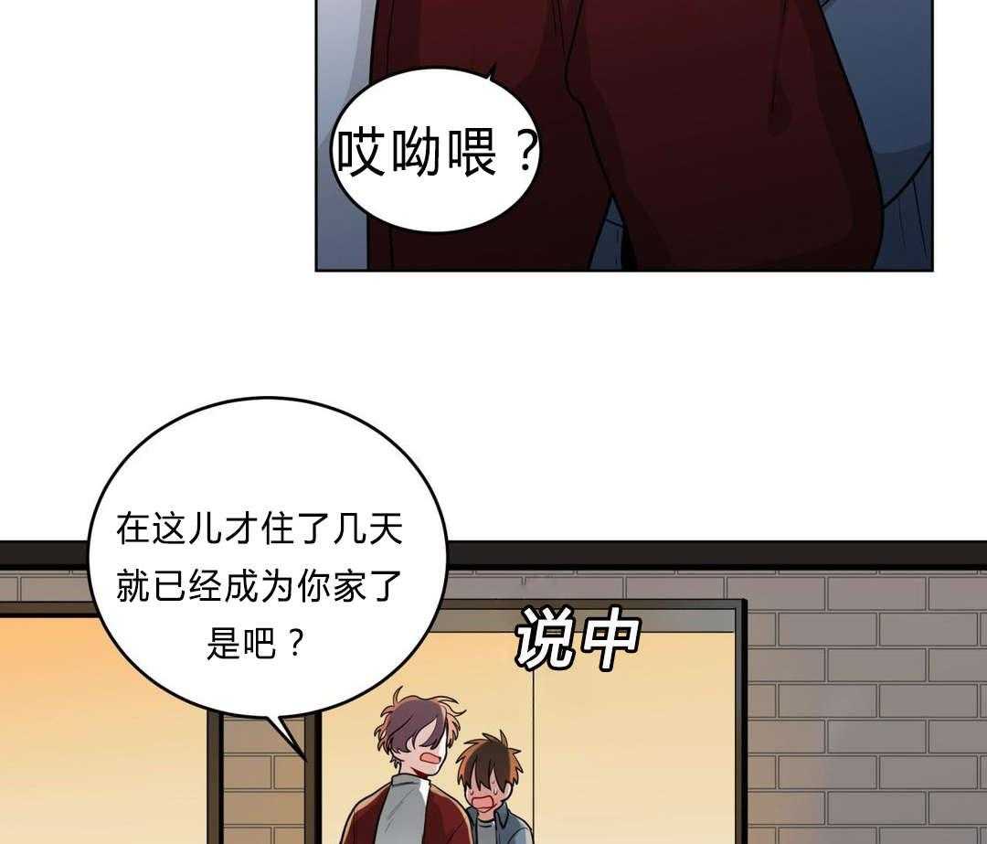 第29话_盆栽43