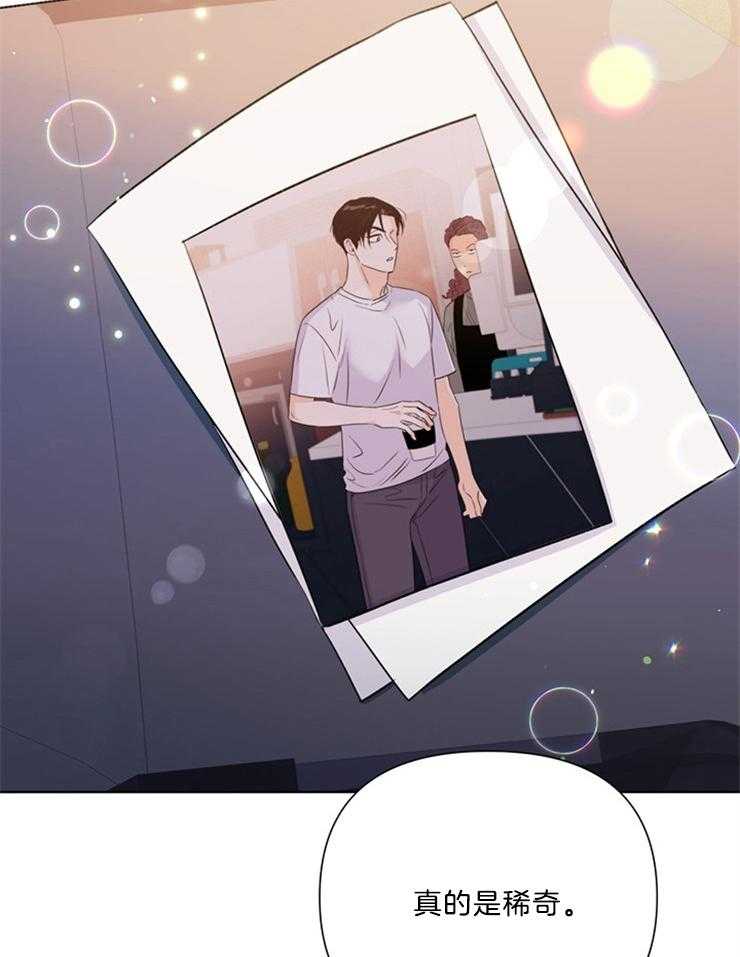 第41话_稀奇13
