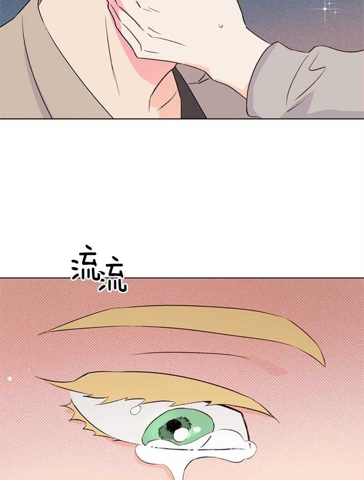 第33话_你是不是说谎了13