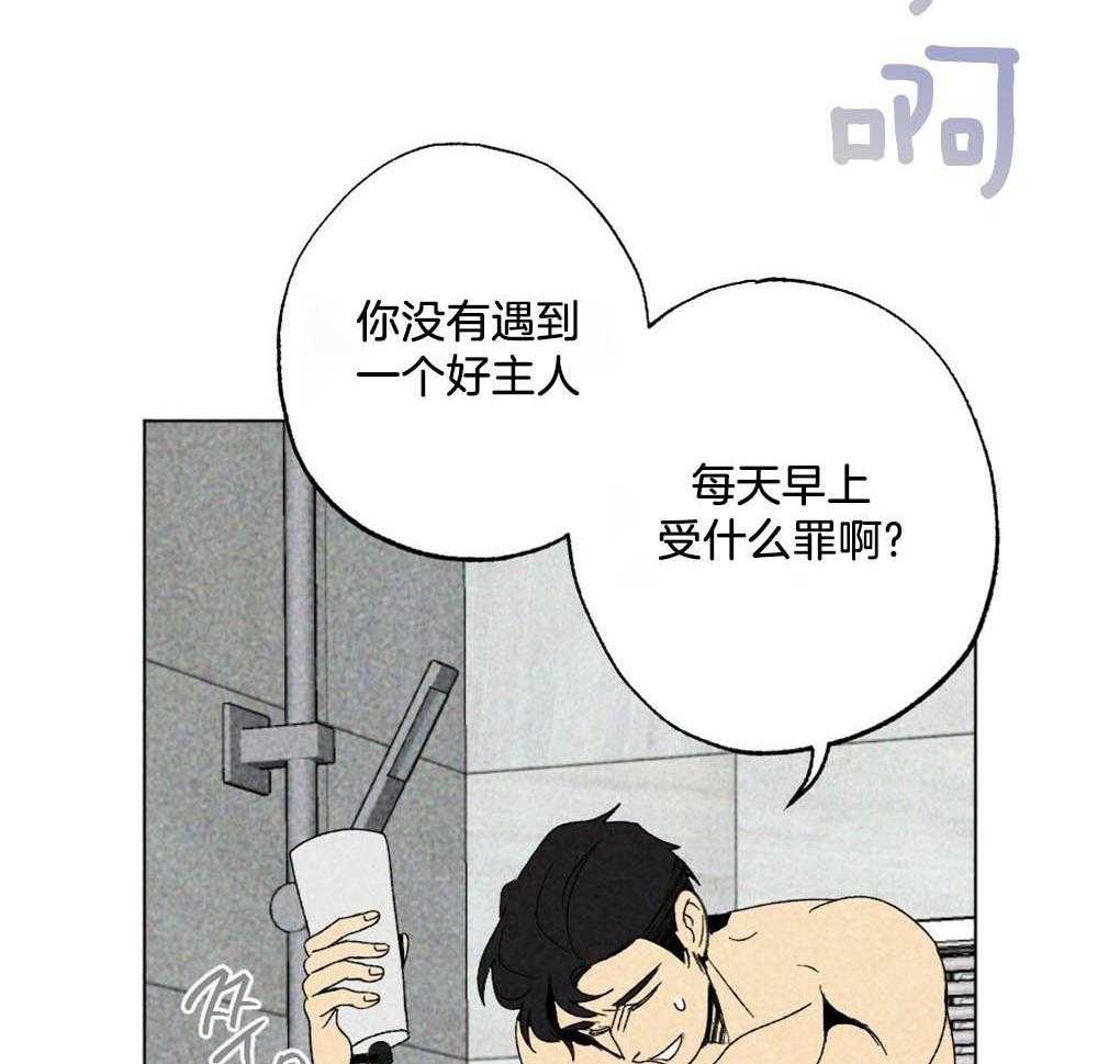 第4话_你没有遇到好的主人22