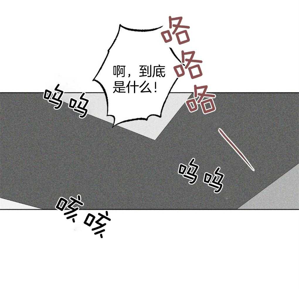 第29话_到底是什么29