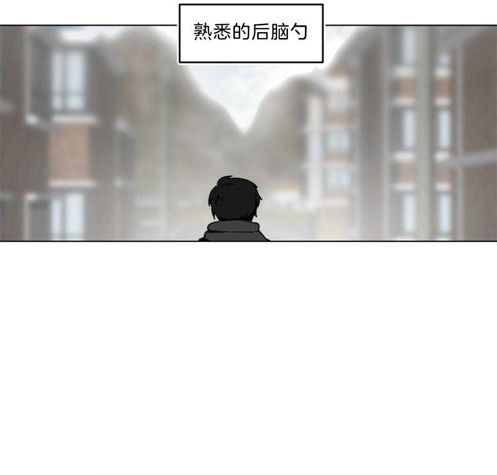 第42话_熟悉的后脑勺19