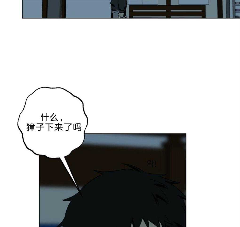 第46话_这是什么13