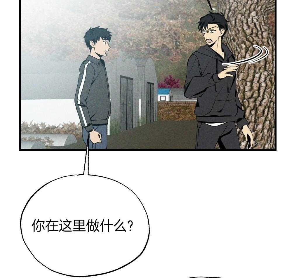 第82话_就知道会这样19