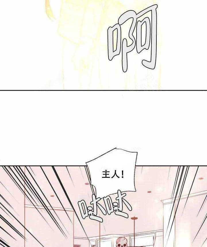 第104话_只有你1