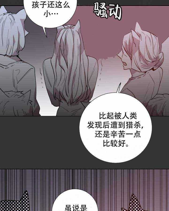第104话_只有你15