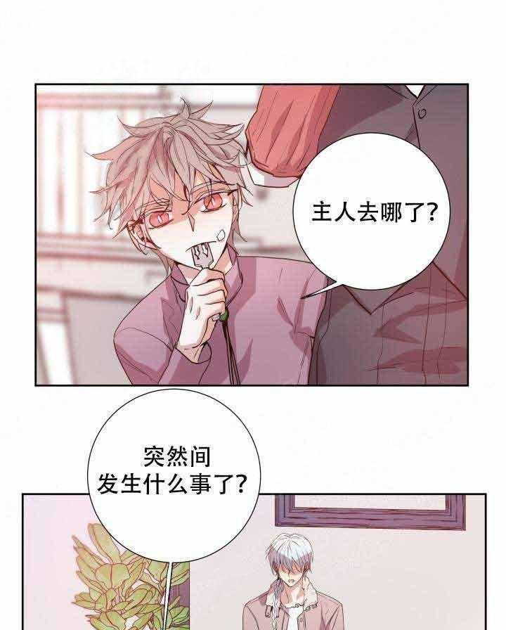 第104话_只有你3