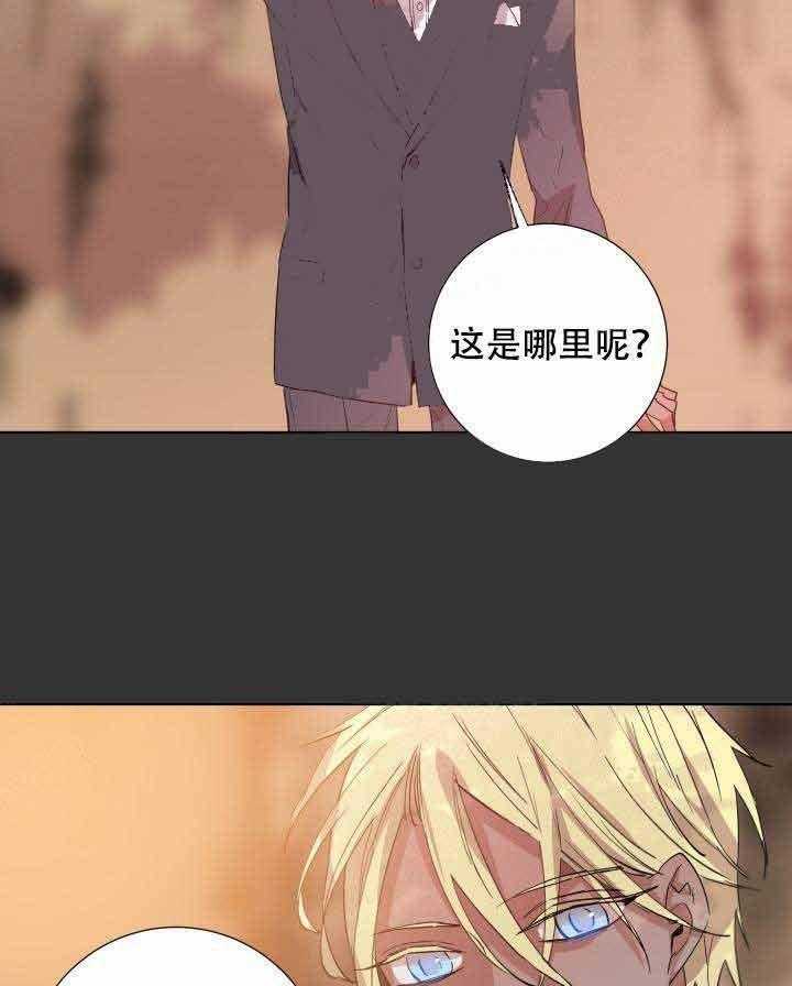 第104话_只有你9