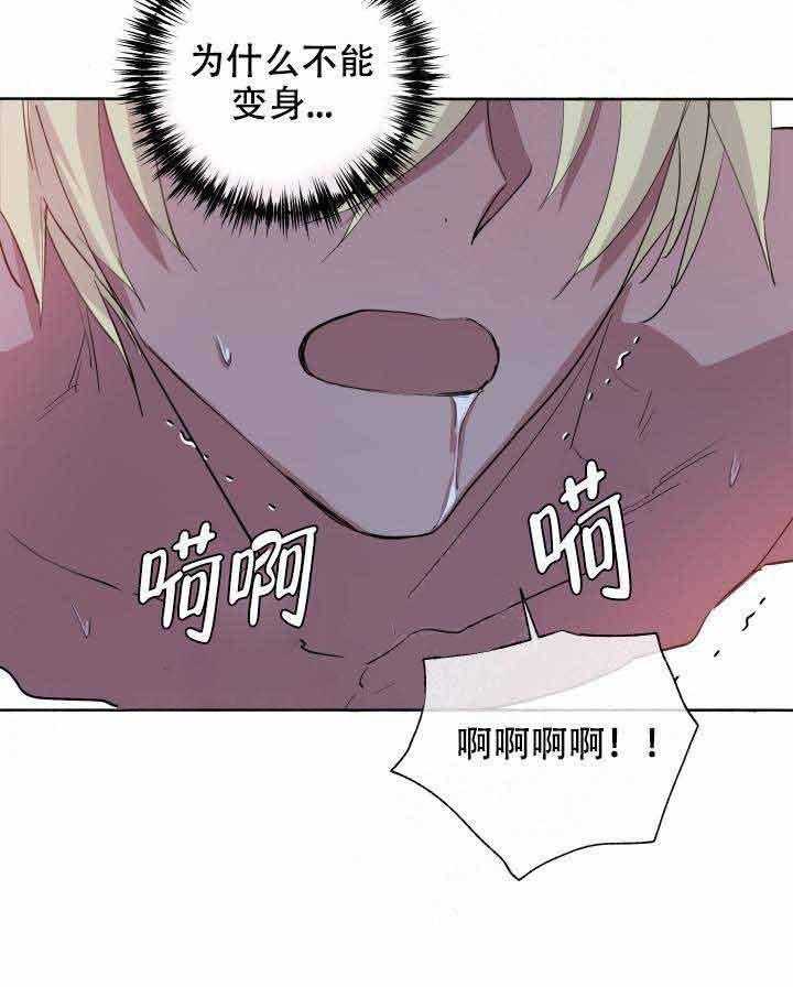 第95话_天助我也23