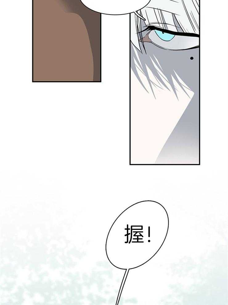 第200话_心脏做的戒指17