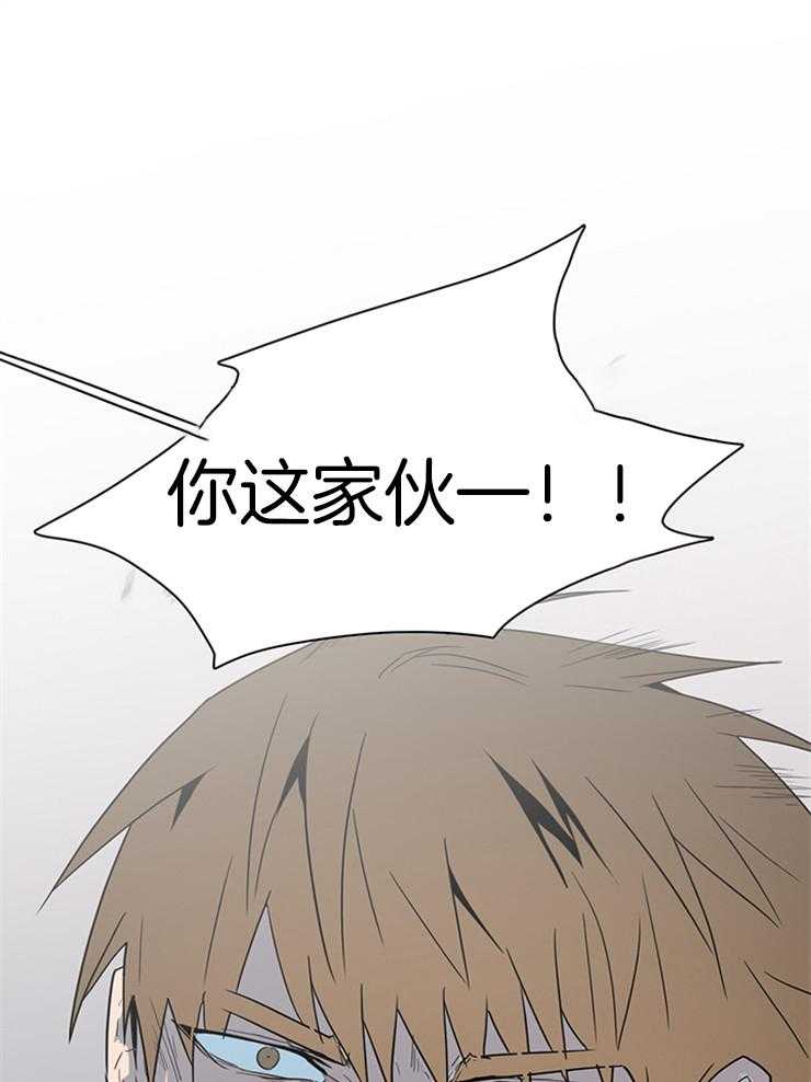 第200话_心脏做的戒指41