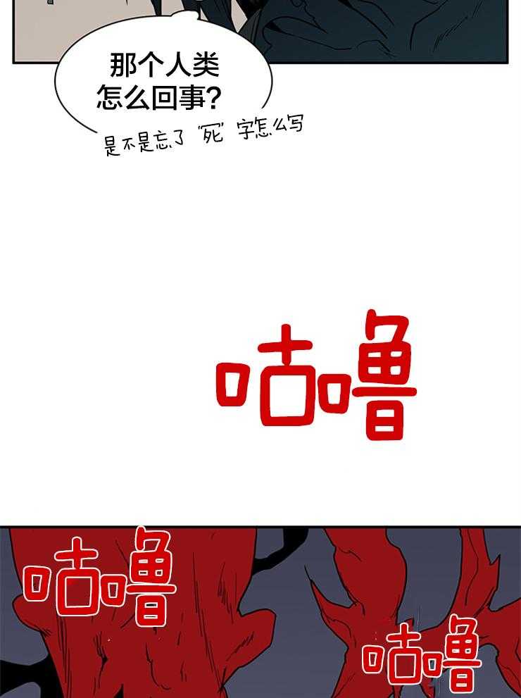 第146话_这是？13