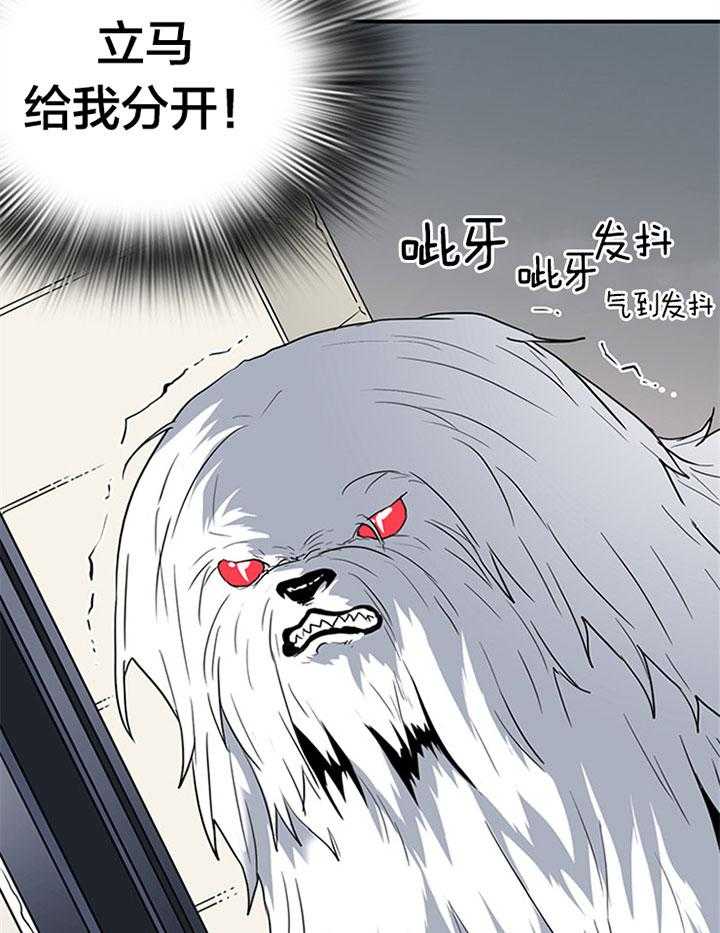 第124话_温暖的抱抱2