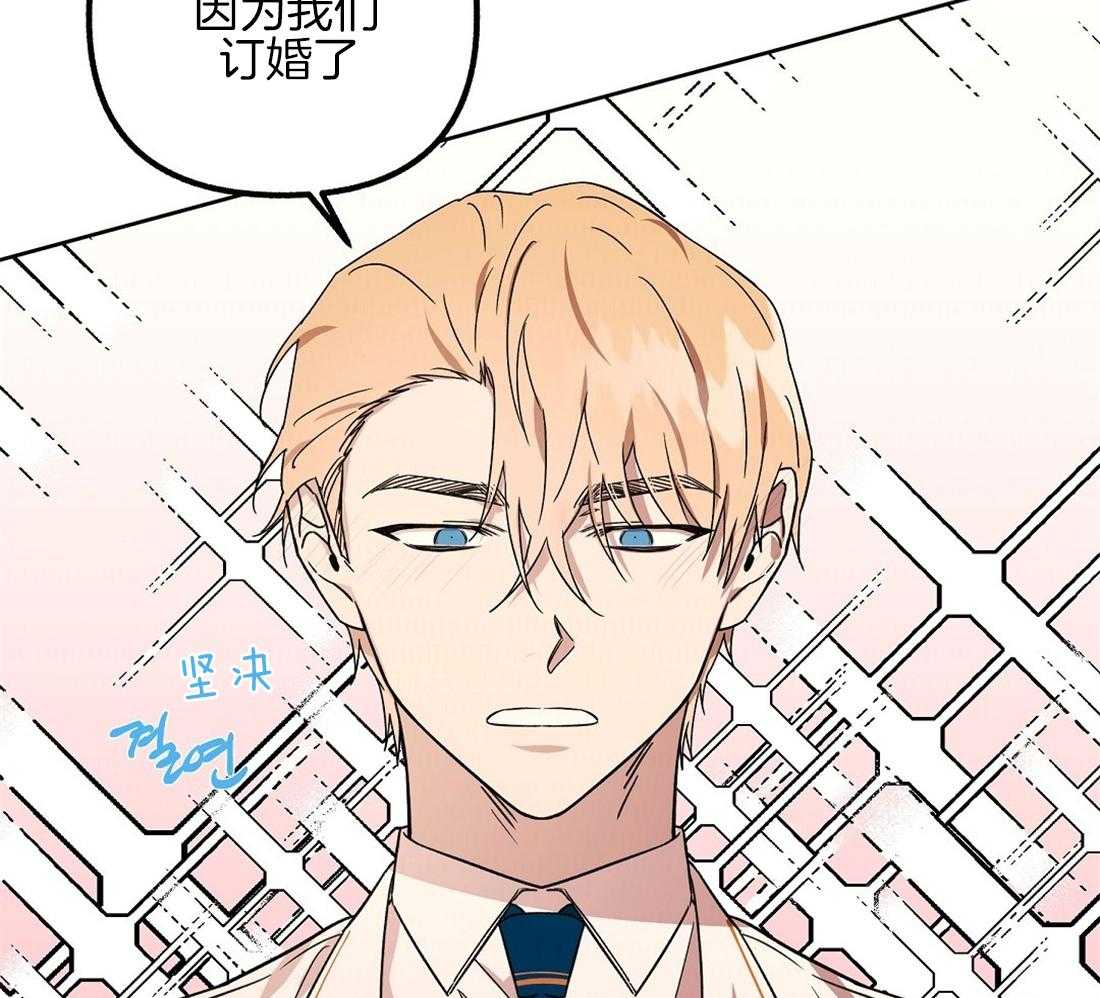 第73话_我们订婚了15