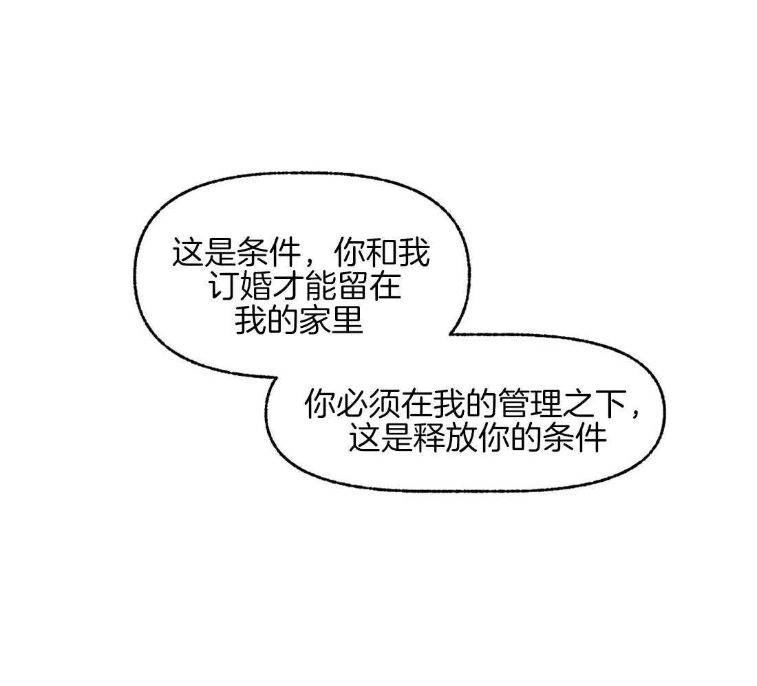 第73话_我们订婚了21