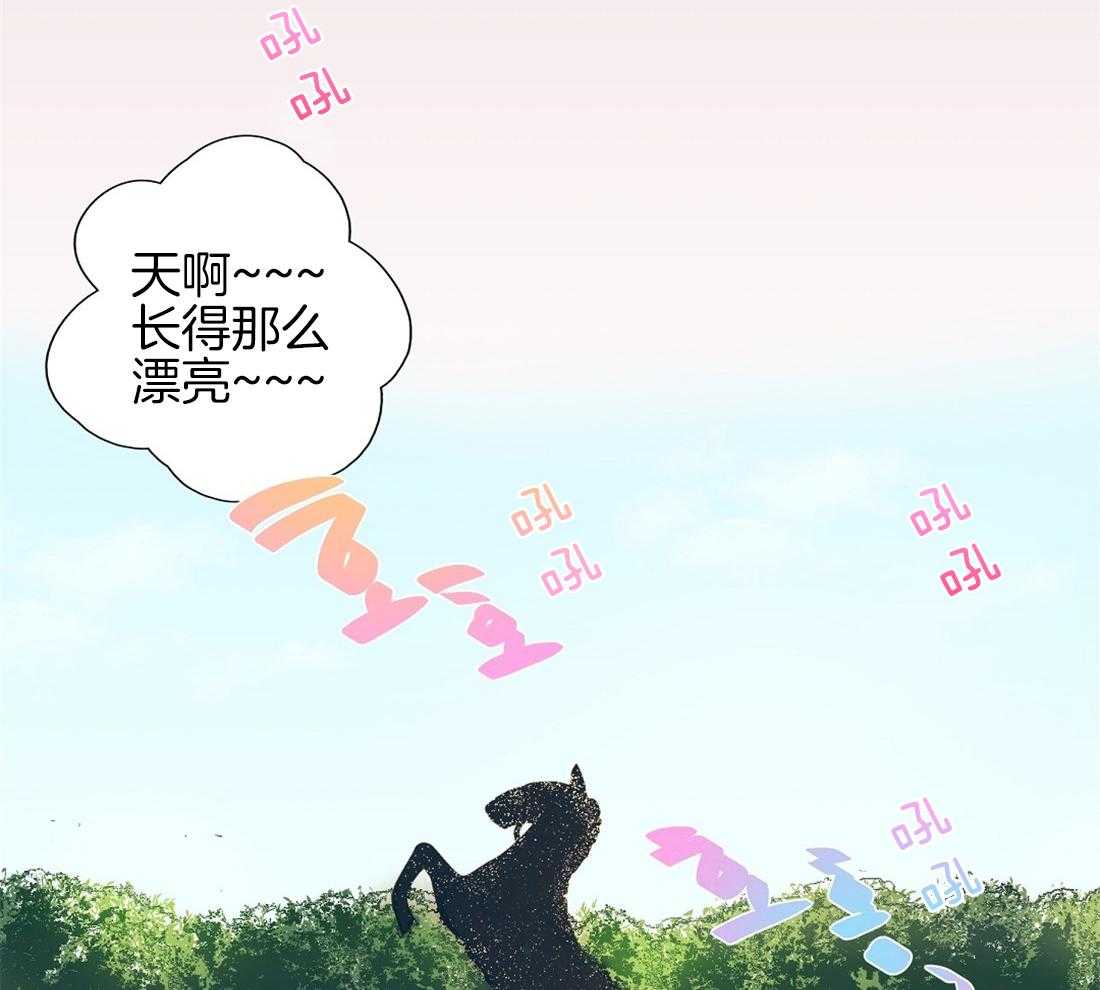 第5话_真没见过瓜14