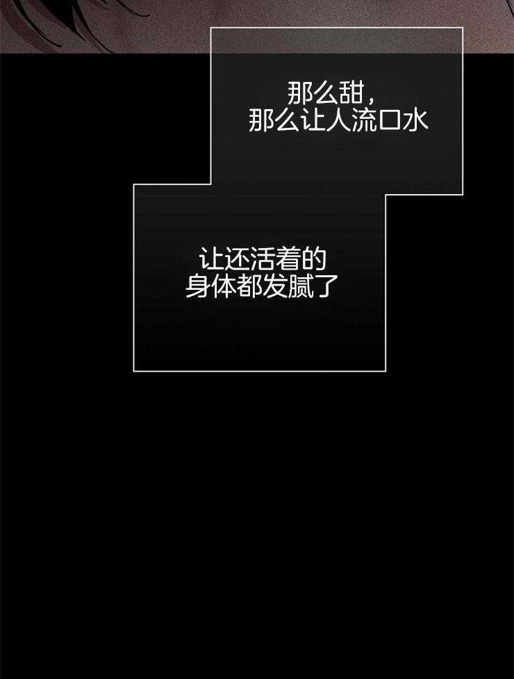 第45话_单纯的家伙24