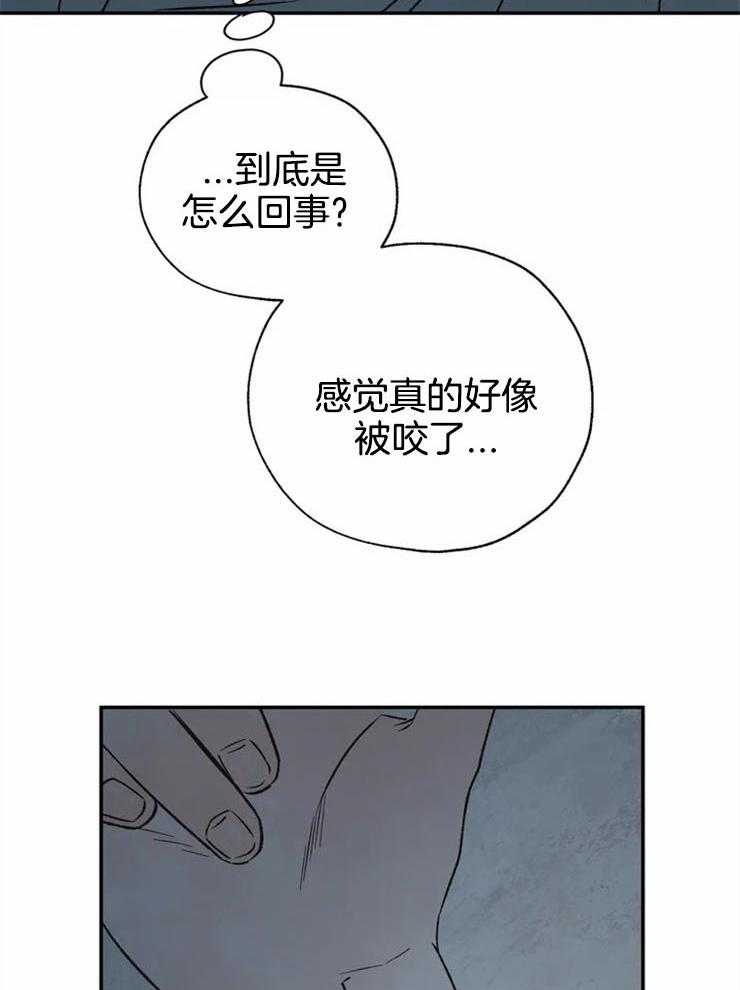 第64话_脱离阿曼的方法26