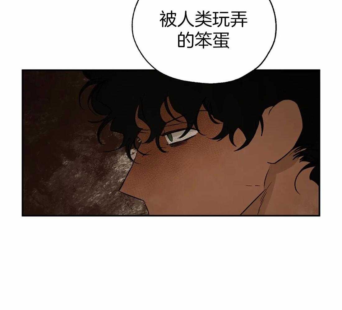 第33话_意外相遇44