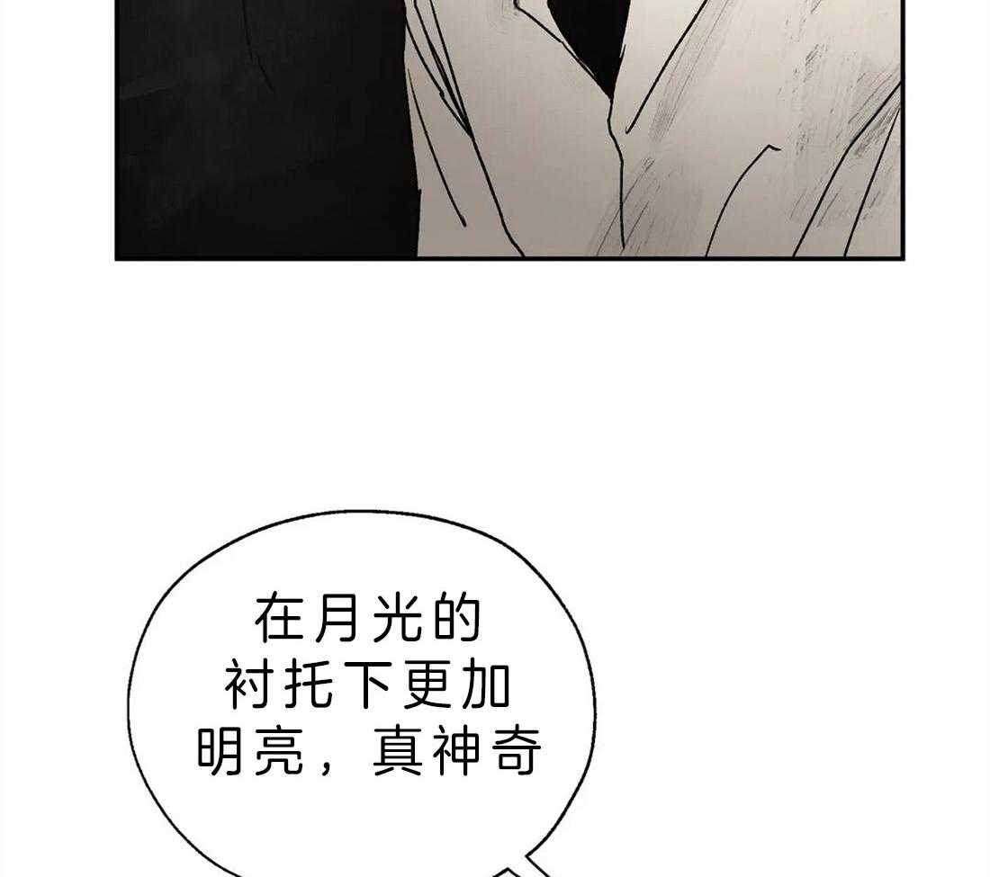 第7话_护崽41