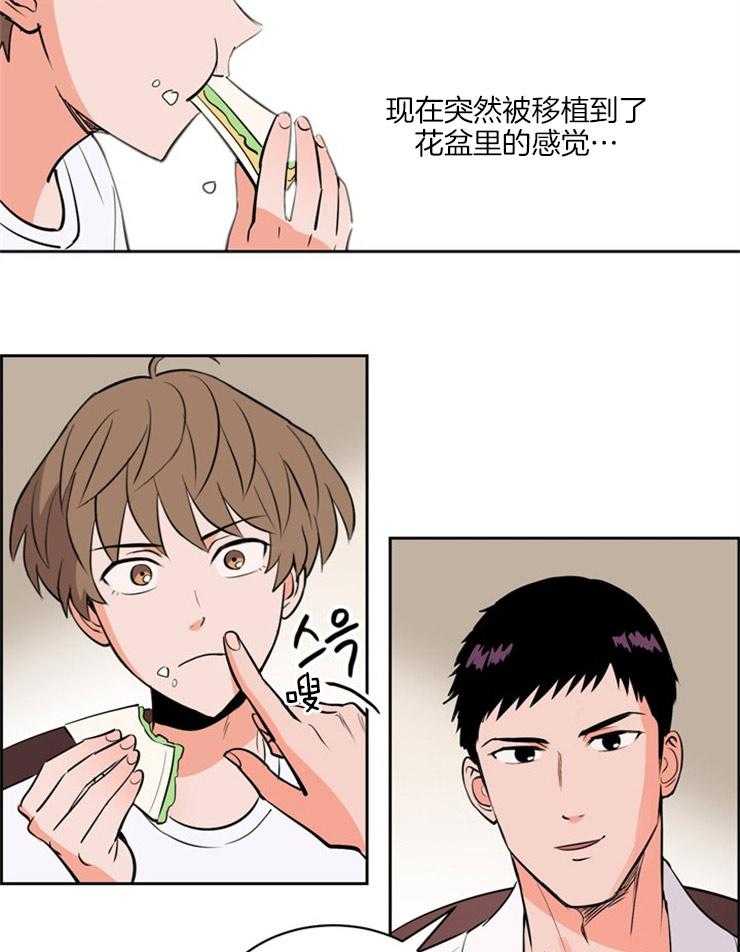 第96话_温柔8